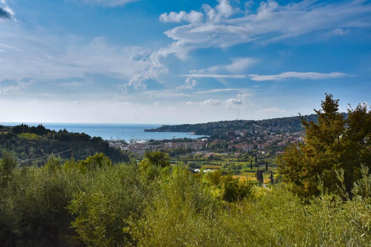 Apartma Med Oljkami - Portorož Exterior foto